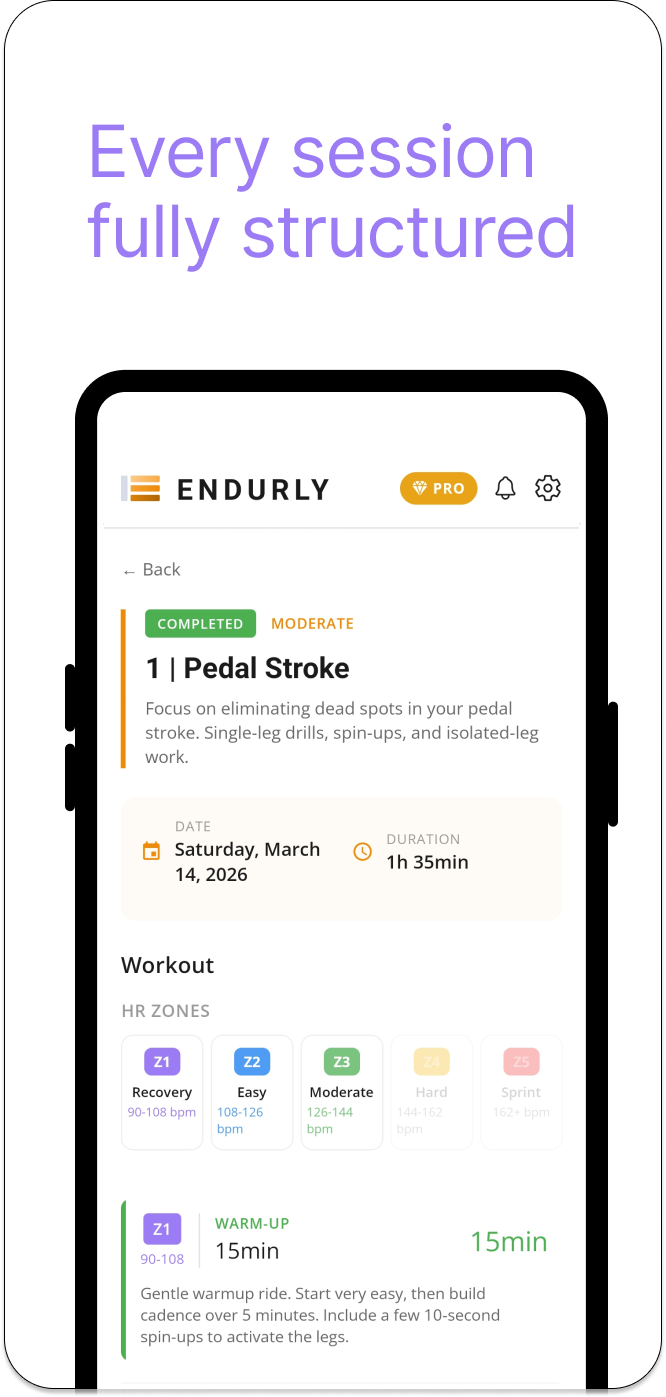 Каждая тренировка полностью структурирована